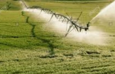 Fazenda para venda em Muquem do São Francisco